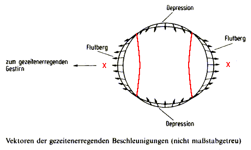 p_vektoren.gif (9609 Byte)